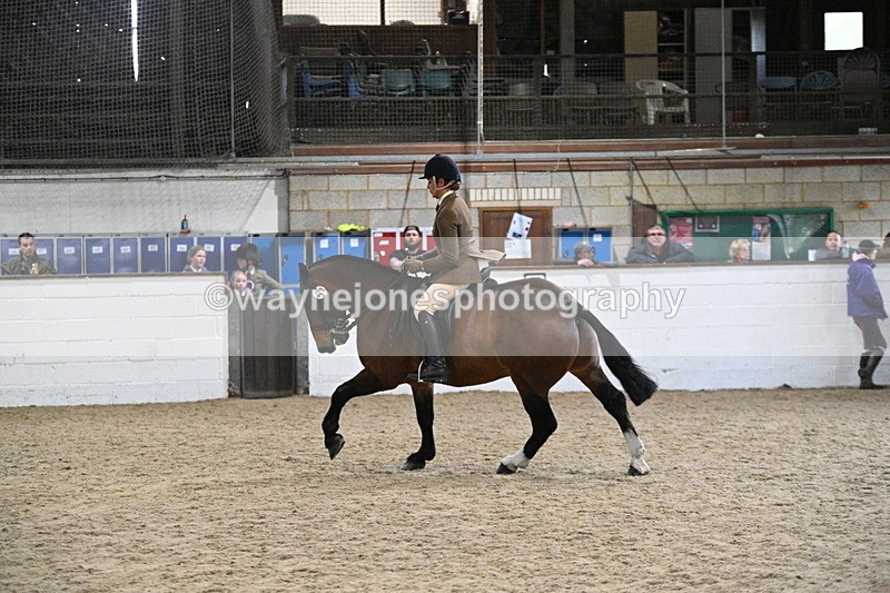 WJ7_4002 - Class 17 Ridden Cob