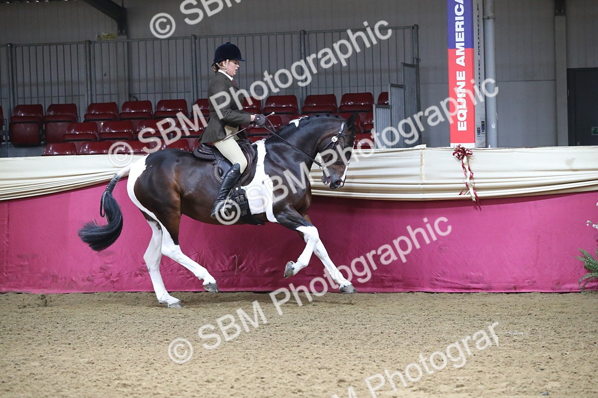 SBM_10377 - Class 102 Equitation (best rider) Adult