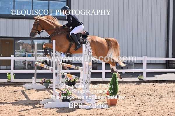 BPP_7346 - CLASS 14 FRI Nupafeeds Senior Dicovery/1m open