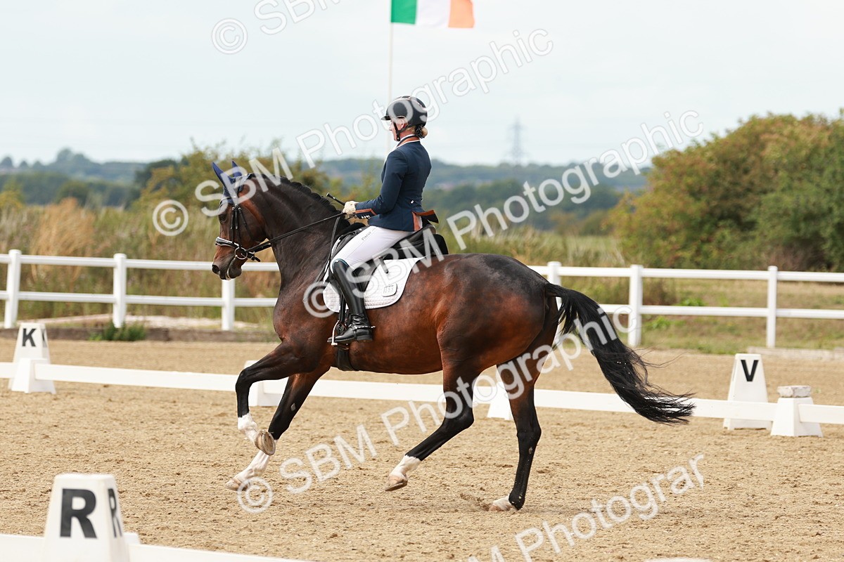 SBM_002195 - Class 11 - Medium 6