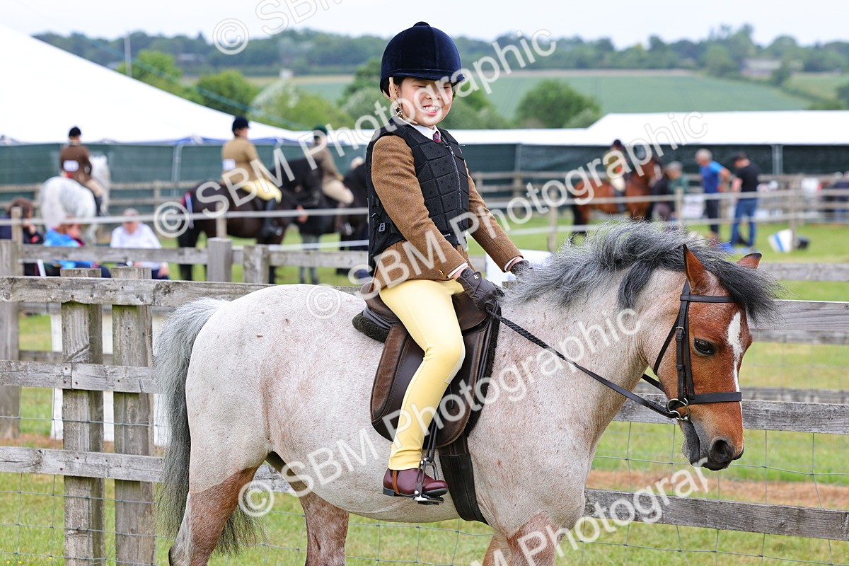 SBM_08452 - Class 42-43 - LIHS BSPS Heritage Working Sports Pony