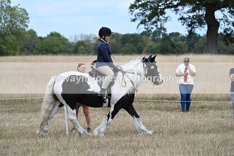 WJ7_4803 - Class 12 Ridden Cob