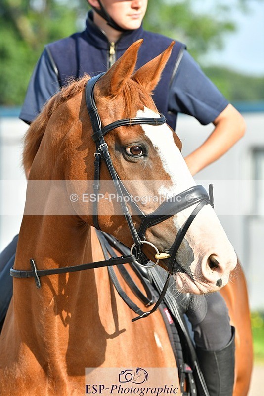 230817-083658-02434 - Stable Shots