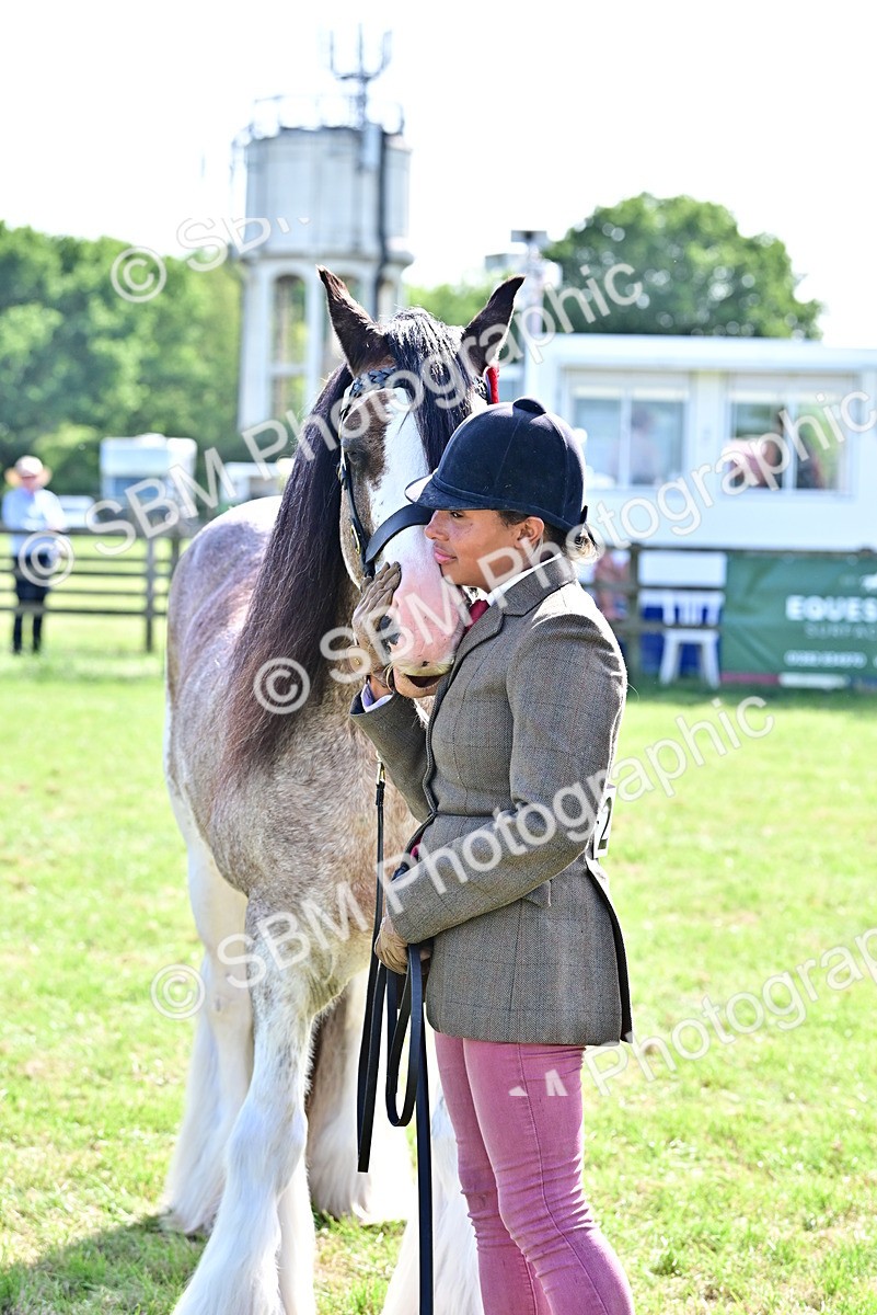 SBM_09509 - Class 63-65 - Traditional Gypsy Cobs In Hand & Ridden