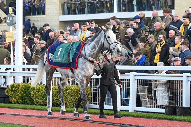 250125-Race 1-Masaccio-3859 - Race 1