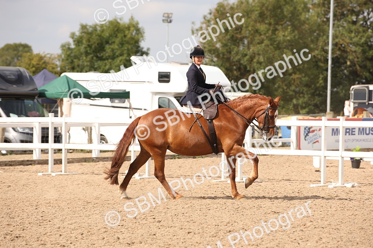 SBM_06714 - Class 24 Concours d'elegance