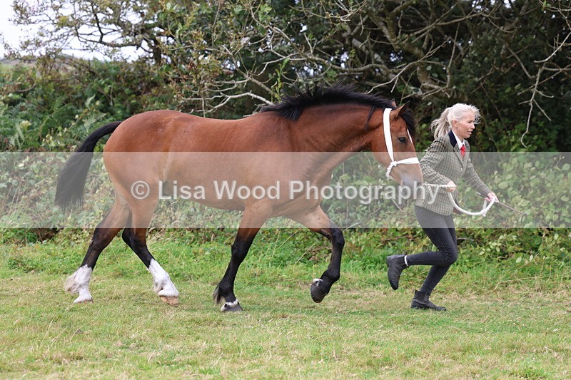 3E7A4369 - Class 15: Three Year Olds