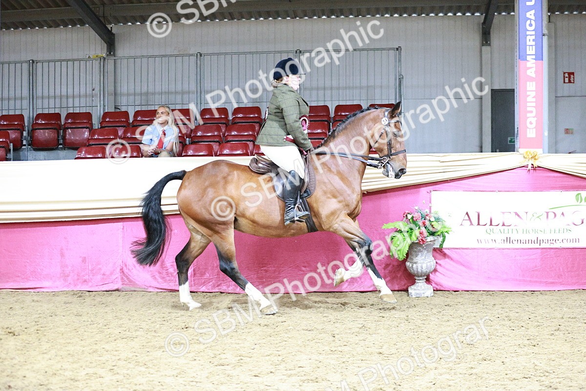 SBM_08406 - Class 11R - Regional Ridden Veteran