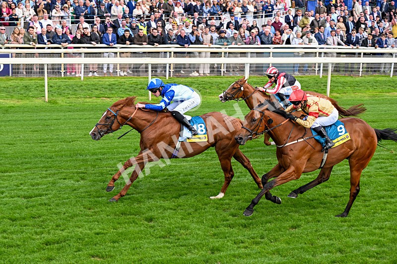 130626-Race 4-Thunder Call-1299 - Race 4 15.35pm Churchill Tyres Supporting Macmillan Sprint Handicap