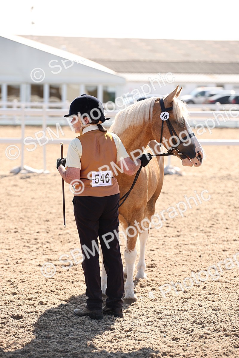 SBM_02712 - Class 16 IH M&M Wildcard