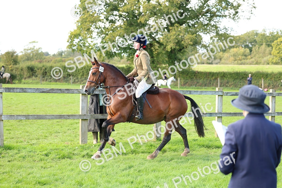SBM_45506 - S33 - Working Hunter Pony
