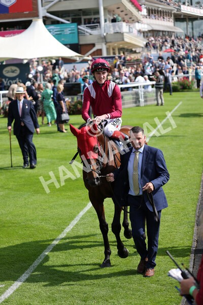 yr18082021r4-27 - Race 4 3.35pm Juddmonte International Stakes (British Champion Series race)