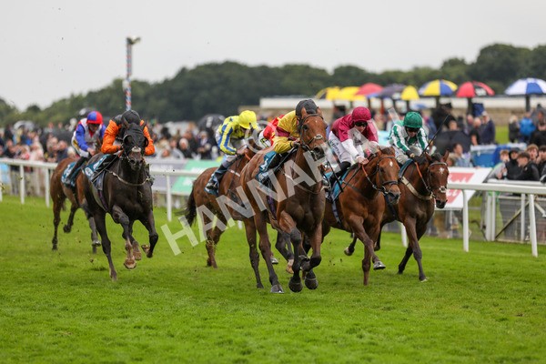 150624-Race 6-Pisanello-6246 - Race 6 4.45pm Ice Co Supporting Macmillan Handicap