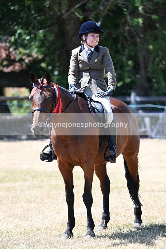 WJ7_3198 - Class 7 Riding Club Show Horse