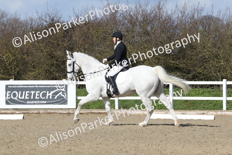 20260314-4900 - CT6 - Elementary 1