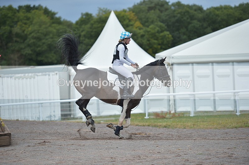 NGP_3860 - XC Time 12:16 to 12:25