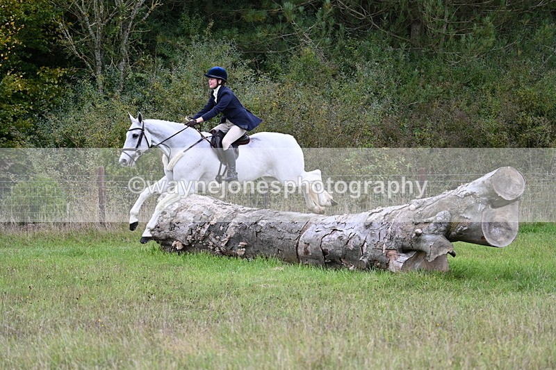 WJ7_3640 - Camera 1 Line 1