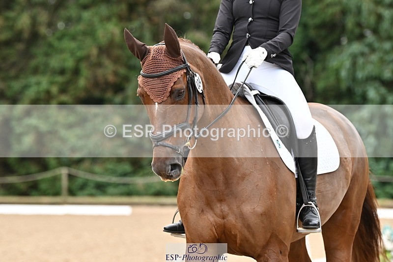 250808A-102659-00321 - 024-Daisy.Hedges-Felicia.V