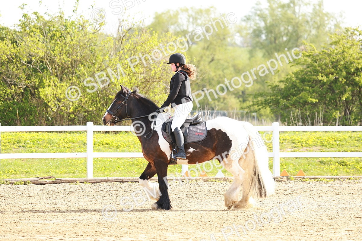 SBM_003167 - Class 2 - 50cm