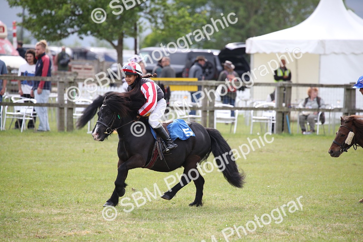 SBM_10198 - Dinky Derby