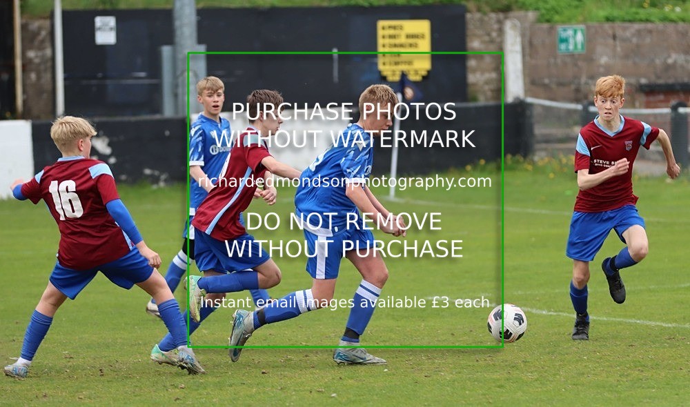 IMG_6941 - Ibis U14