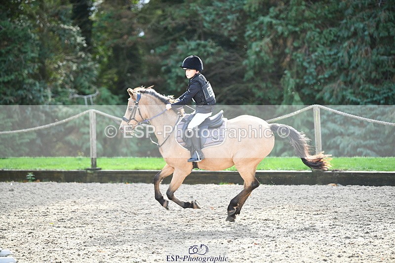 251004A-114856-00761 - Classes 4 & 5 50cm