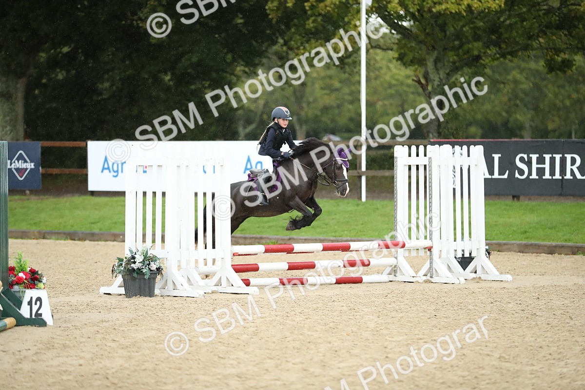 SBM_34346 - J60 Clear Round 50cm