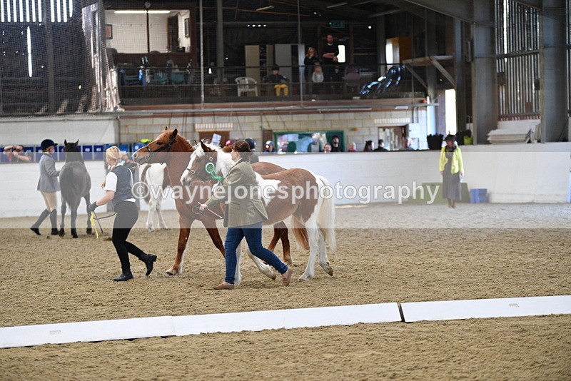 WJ5_3797 - Class 5 In Hand Veterans