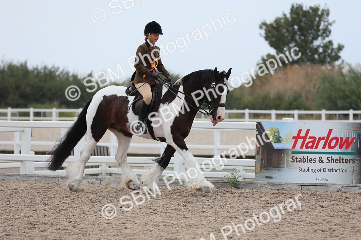 SBM_17855 - Class 315 Best Horse/Rider Combination