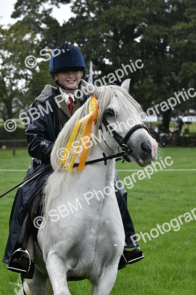 SBM_35615 - S30 - Nursery Stakes Working Hunter Pony