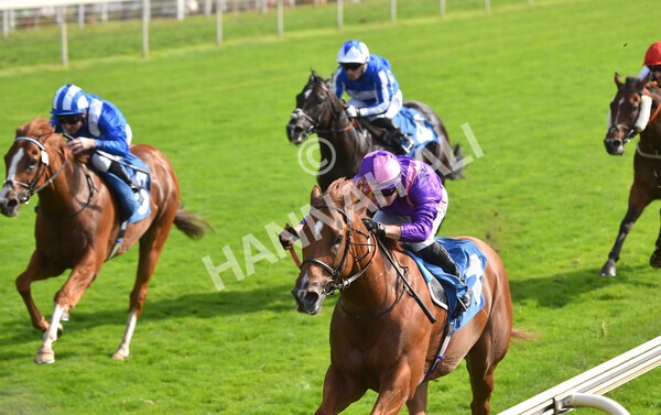 yr05092021r3-20 - Race 3 3.15pm The BioWaveGo Garrowby Stakes