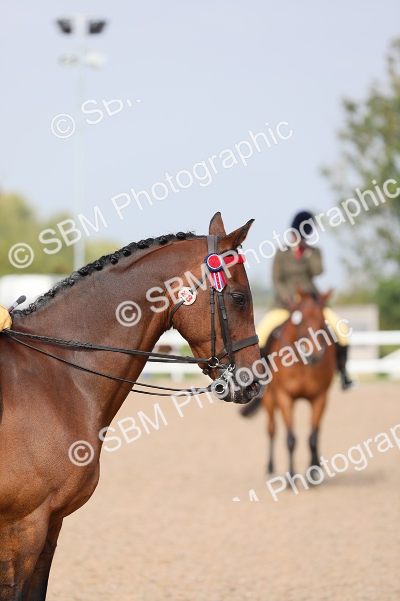 SBM_10897 - Class 304 Ridden Part Bred Horse/Pony