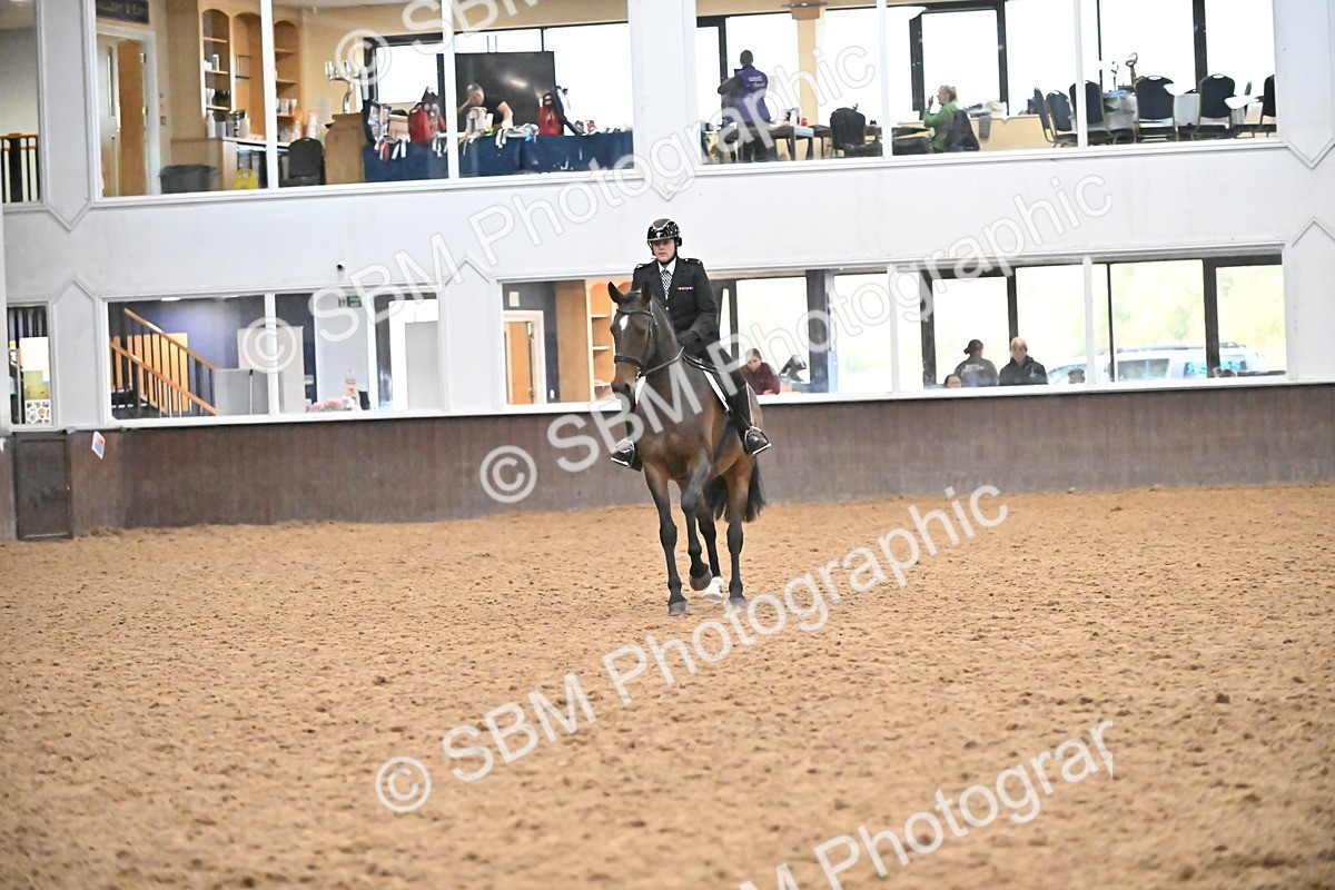 SBM_002964 - Class 37,38 - UKPSAF Performance Horse & Pony