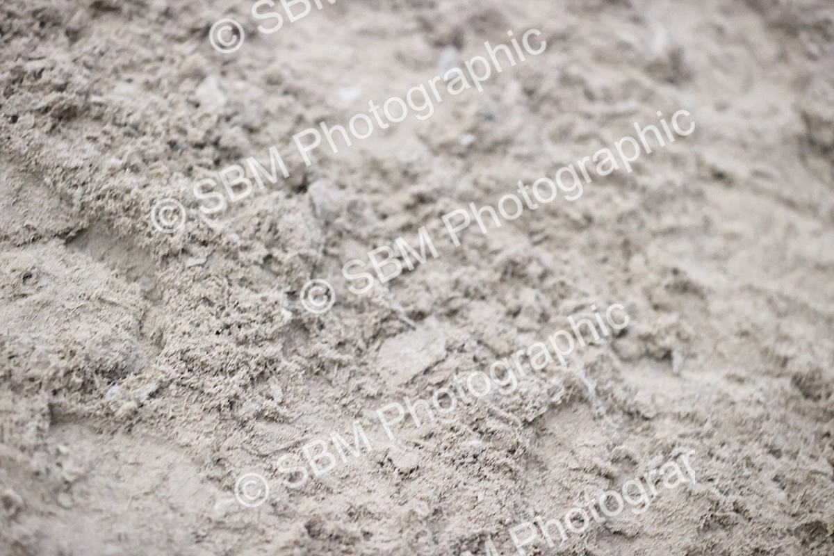 SBM_003339 - Class 16 - Junior 1.15m 1.20m Open