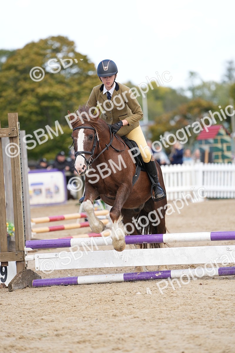 SBM_21313 - J49 - Open 50cm