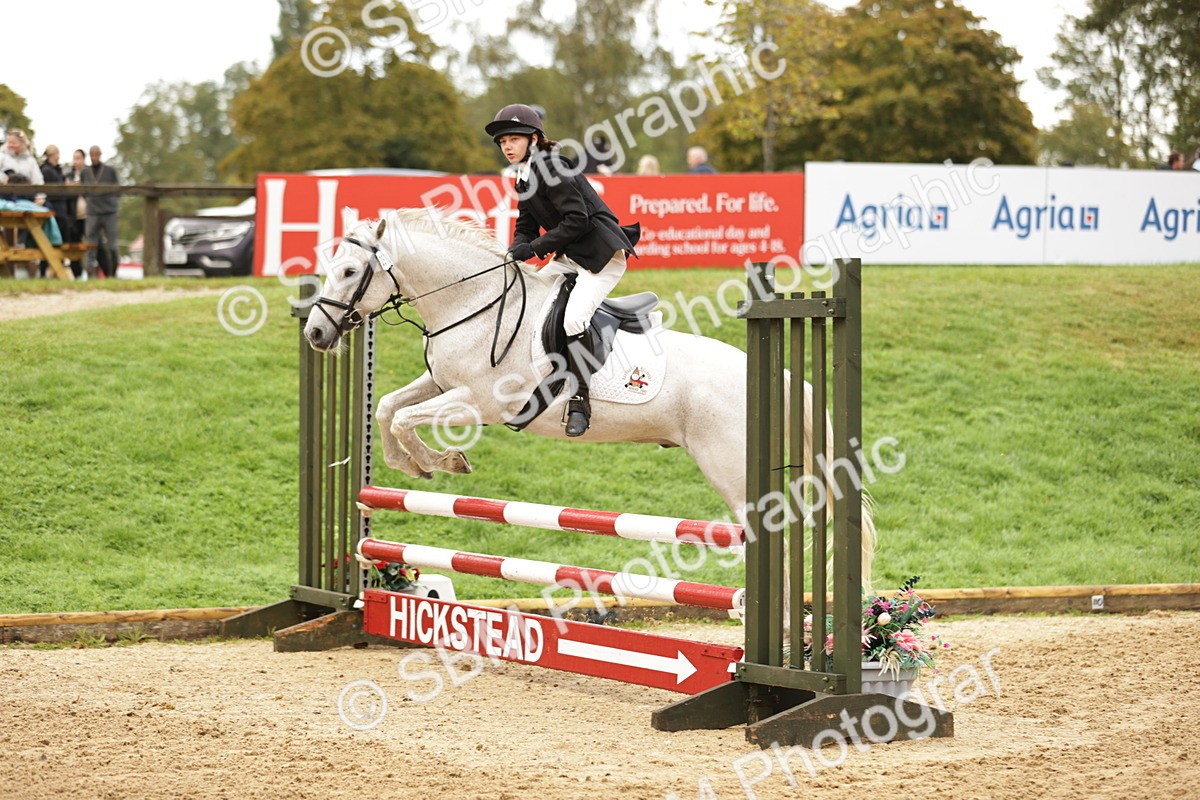 SBM_33030 - J38 - Senior Horse & Pony 80cm Championship