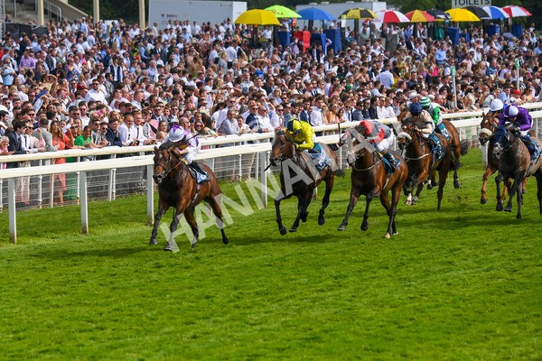 270523-Race 6-Quantum Impact-0880 - Race 6 4.25pm Royal Yorkshire Regiment Handicap