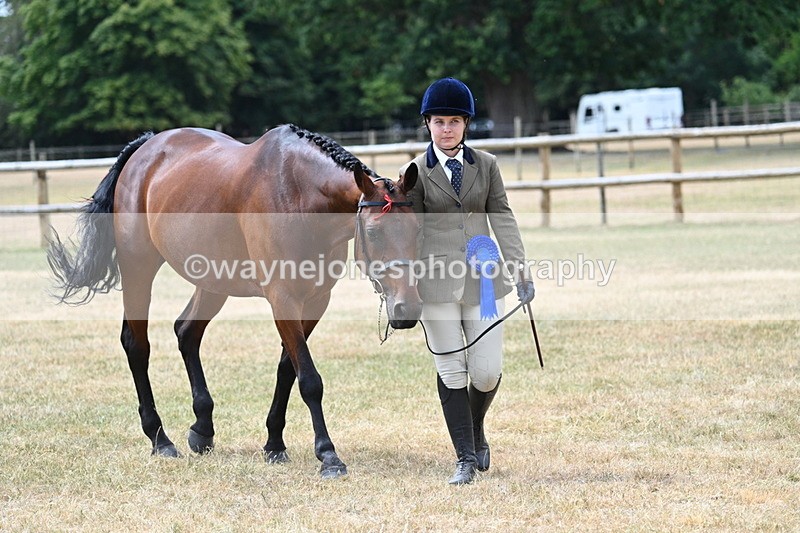 WJ7_2122 - Prettiest Mare Champs