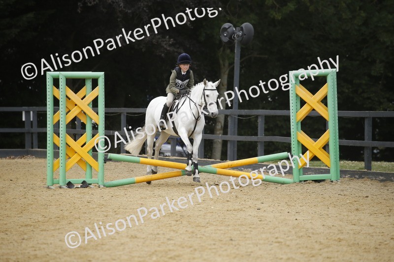 20250622-4736 - 50cm