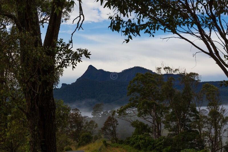 Mt Warning from old Tyalgum tip site park 3 - Mt Warning