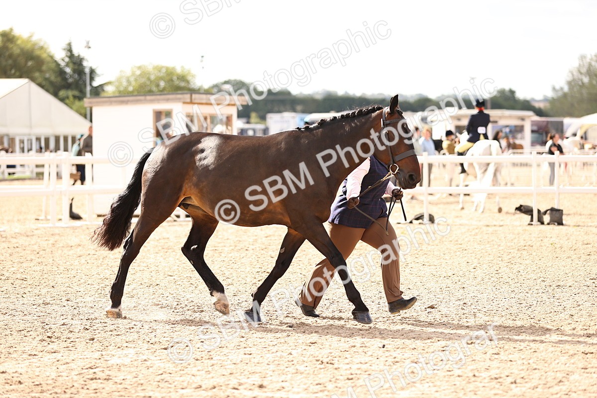 SBM_10443