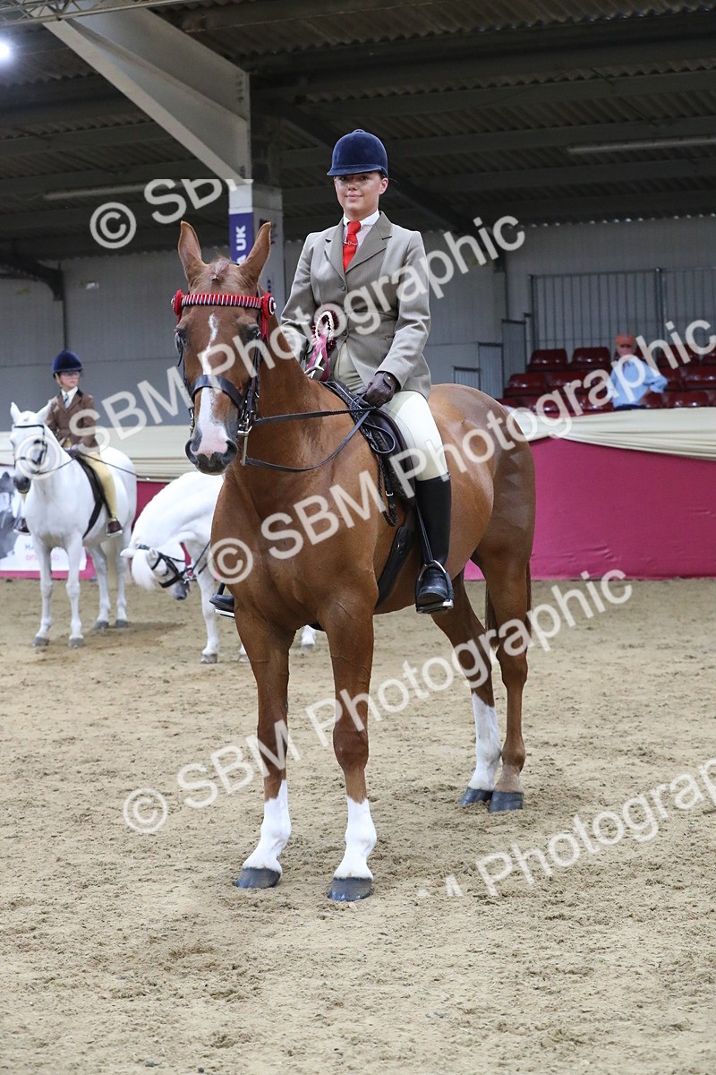 SBM_08474 - Class 11R Regional Ridden Veteran