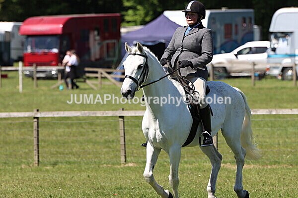 IMG_3988 - Working Hunter