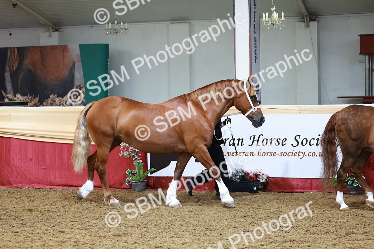 SBM_17311 - Class 951 - M&M IH Supreme Final