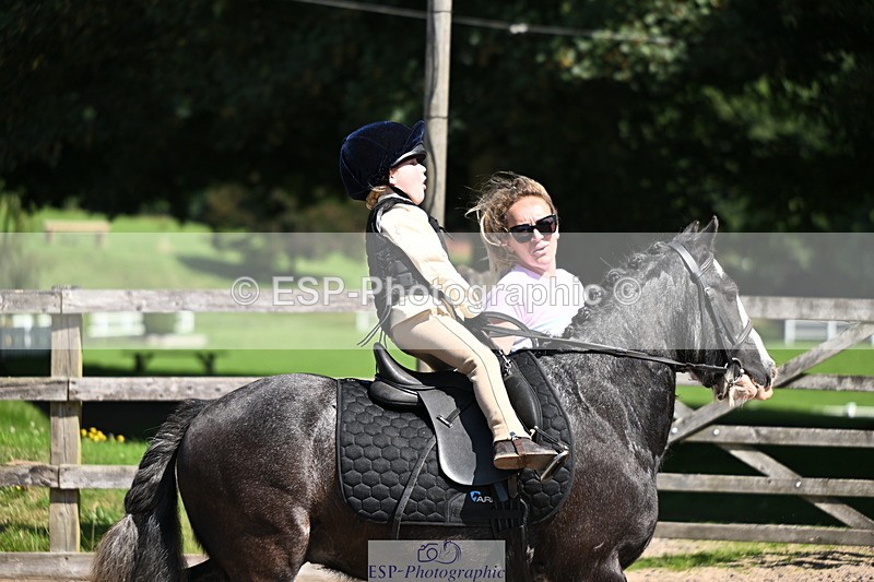 240729B-112200-02350 - Showjumping Competition