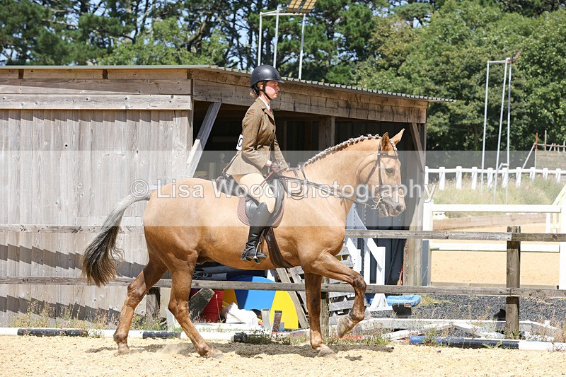 1X9A8791 - Class 19: Riding Club Horse