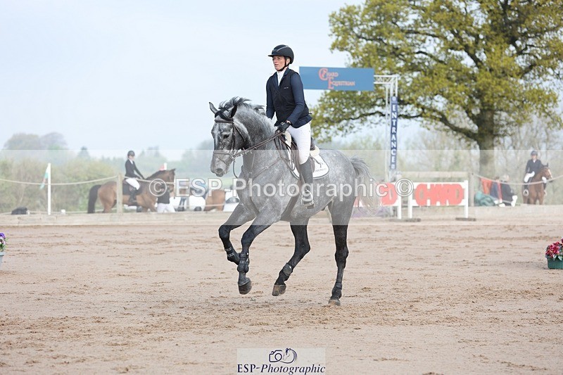 250424-093043-02830 - Cls 29 Young Horse 6yr old