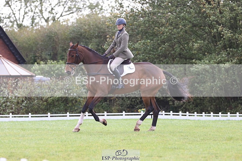 261023A-115943-12573 - D-368-Steffi.Dampney