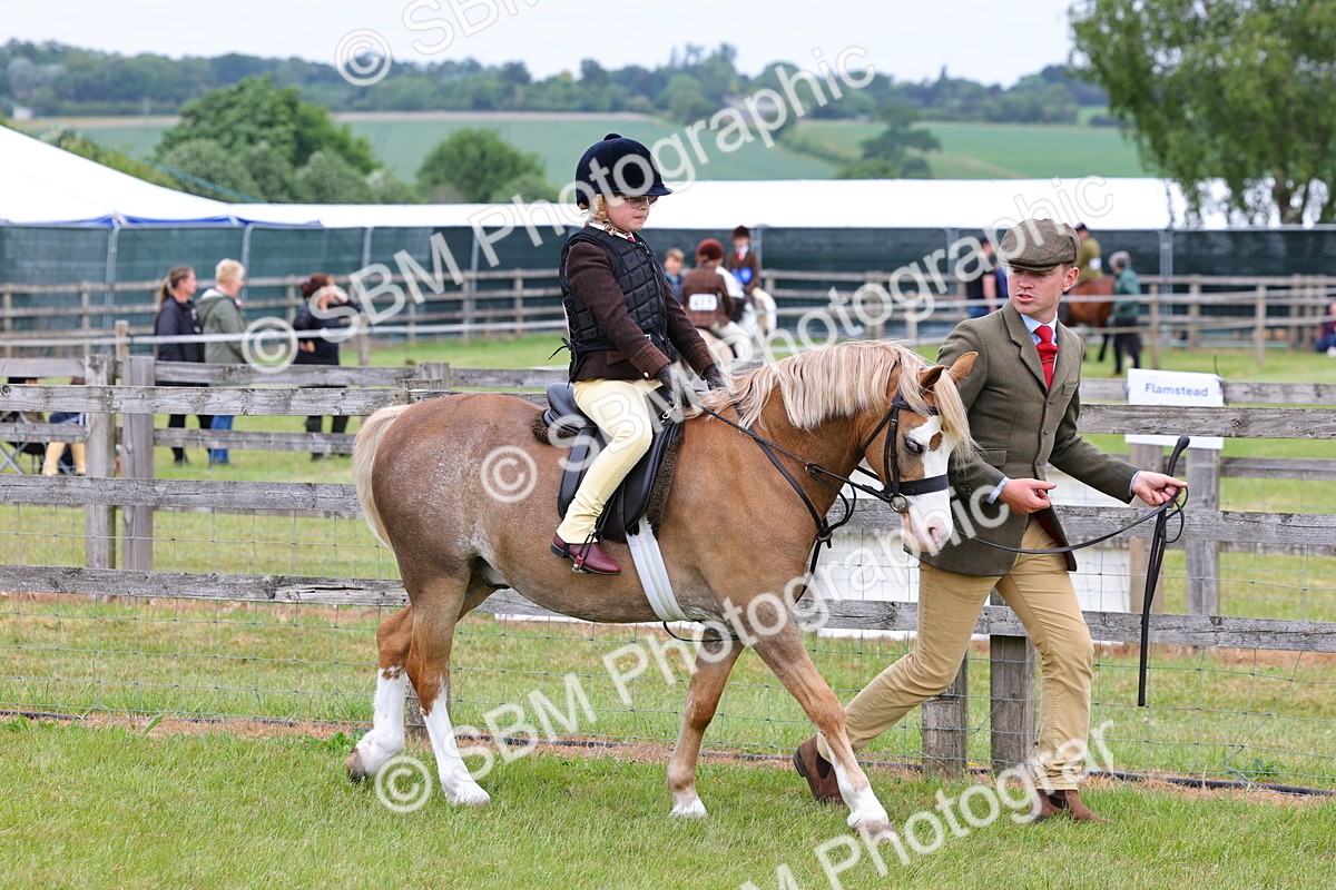 SBM_08082 - Class 42-43 - LIHS BSPS Heritage Working Sports Pony