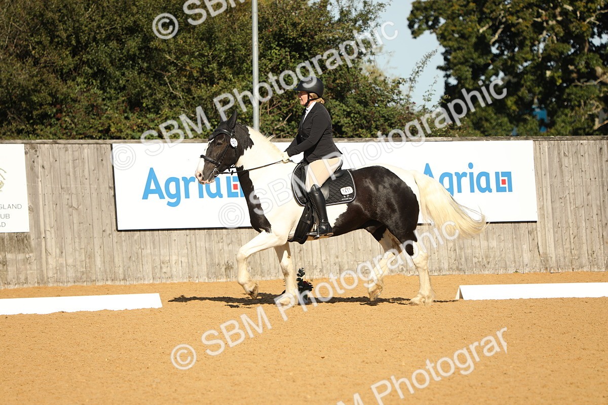 SBM_16567 - D10 - Small Tour Championship - Prelim 2